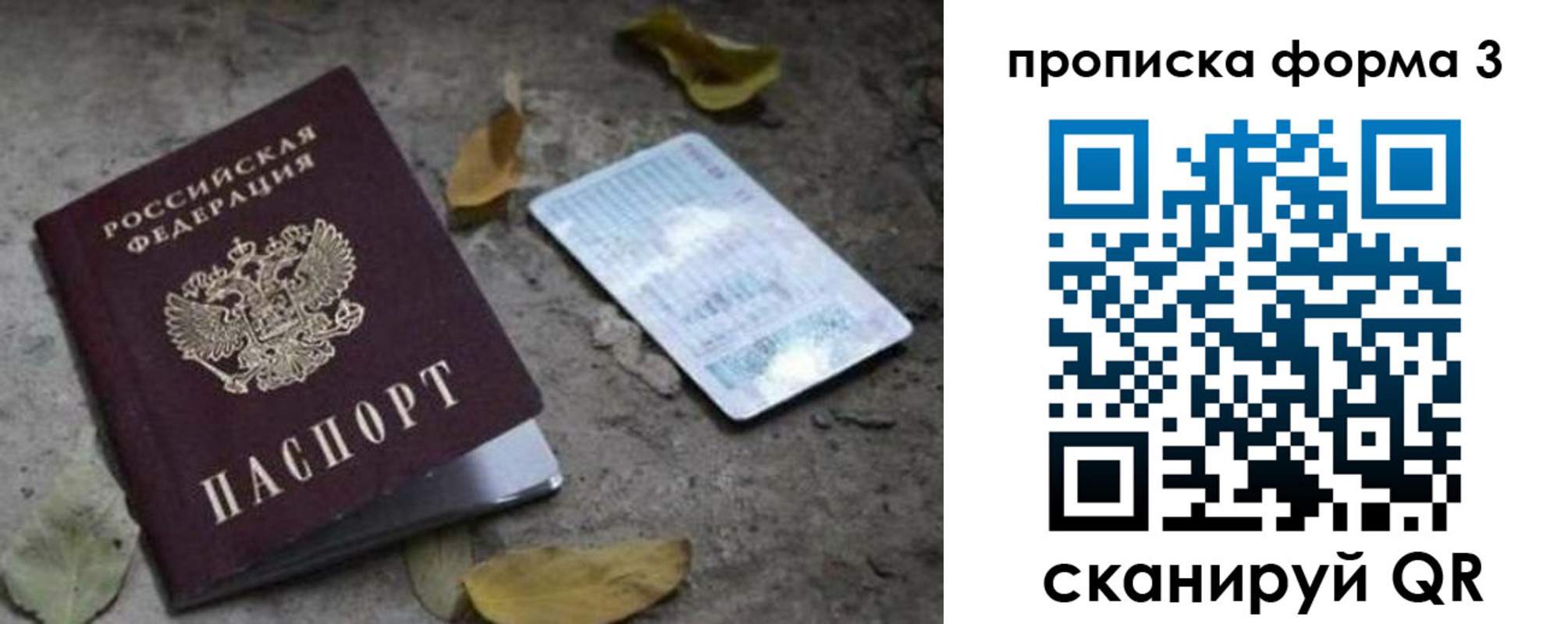 прописка для работы в Болотном